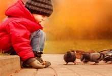 آنچه را به خود می پسندی