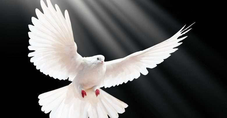 ثواب وفضيلت صلح بين مردم از نماز، روزه وصدقه نفلي بيشتر است