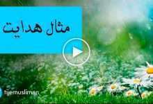 مثال-هدایت