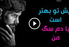 ریش-تو-بهتر-است-یا-دم-سگ-من